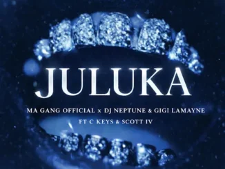 Ma Gang Official - Juluka